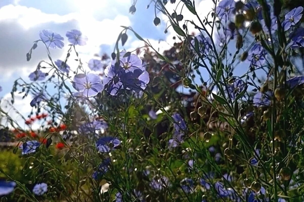    В Крыму 3 июня температура воздуха прогреется до +30 градусов