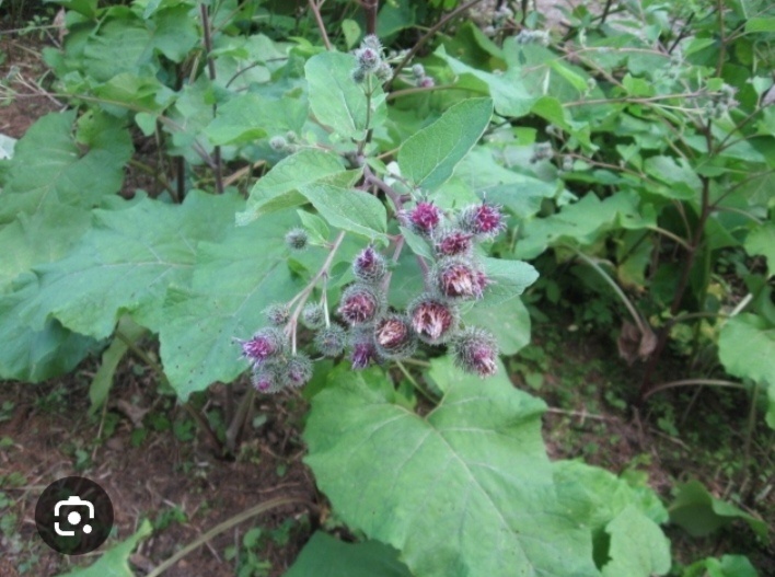 Картинка с инета.