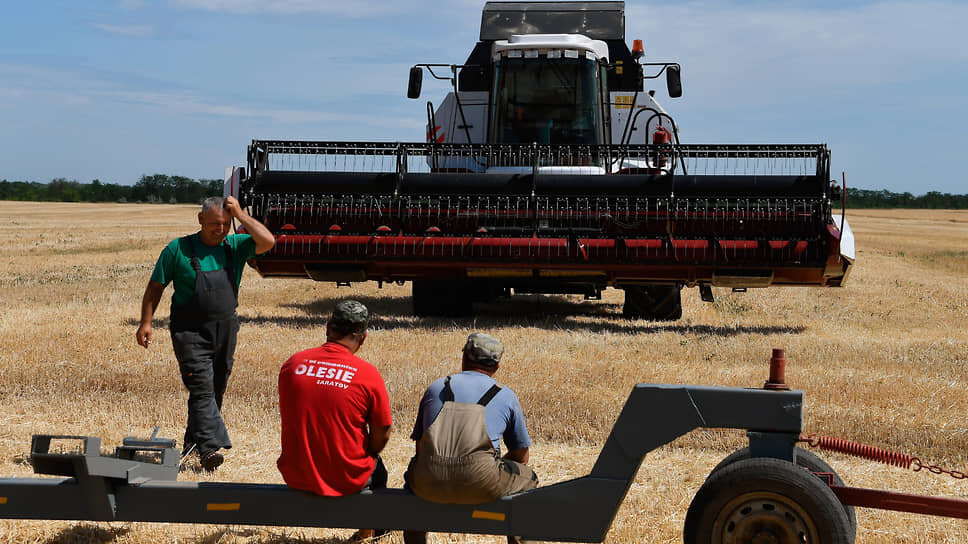 Фото: Виктор Коротаев / Коммерсантъ
