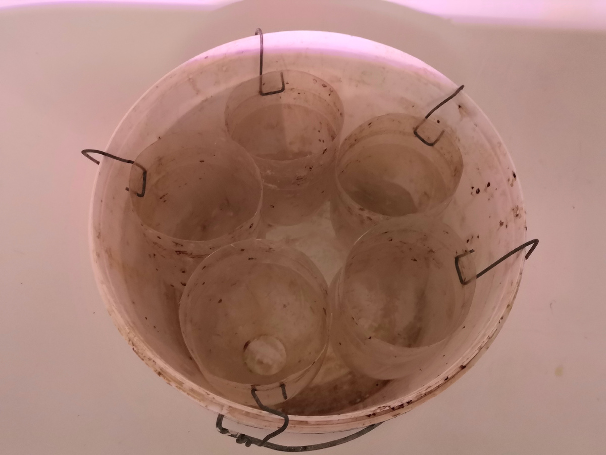 Ведро с "конусами"-бутылками