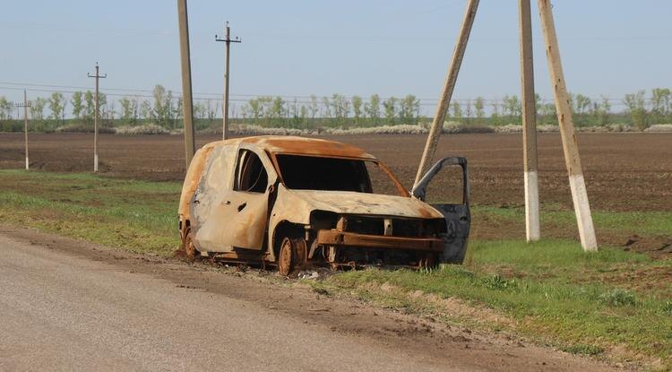 Фото: Елена Ховхун