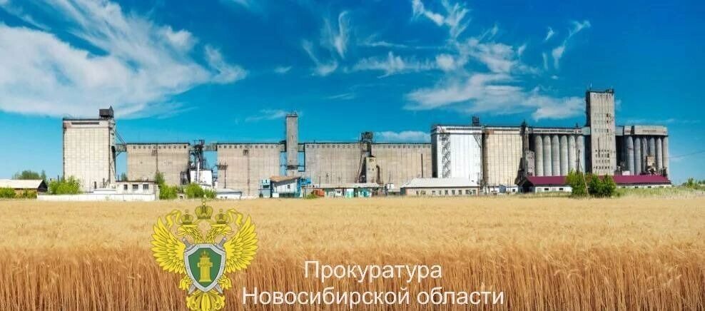     Источник: прокуратура