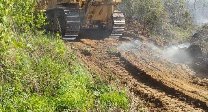    Комитет лесного хозяйства Московской области