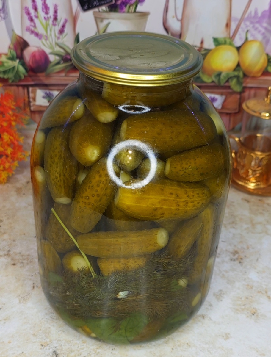 Квашеные огурцы без стерилизации и варки