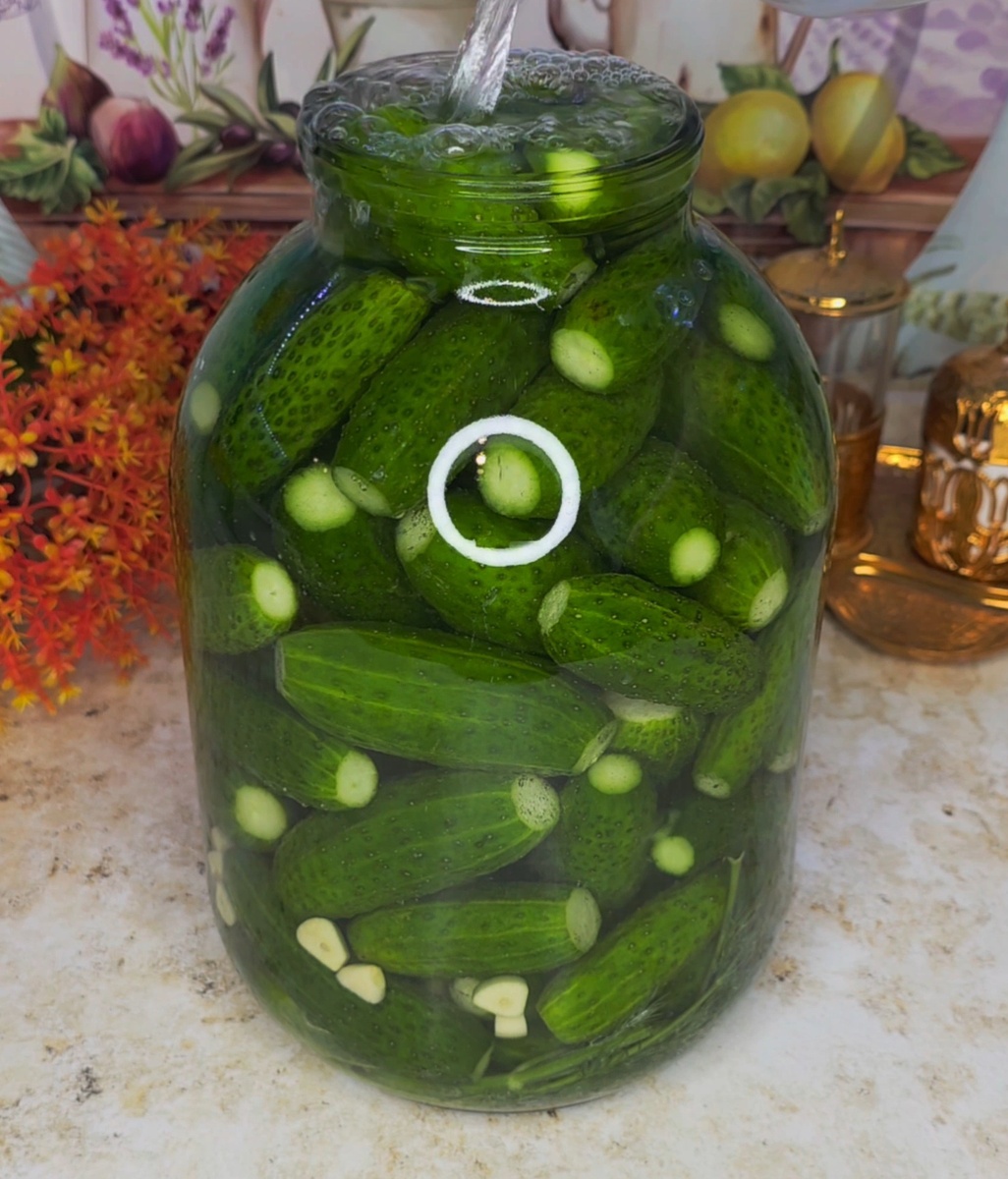 Квашеные огурцы 