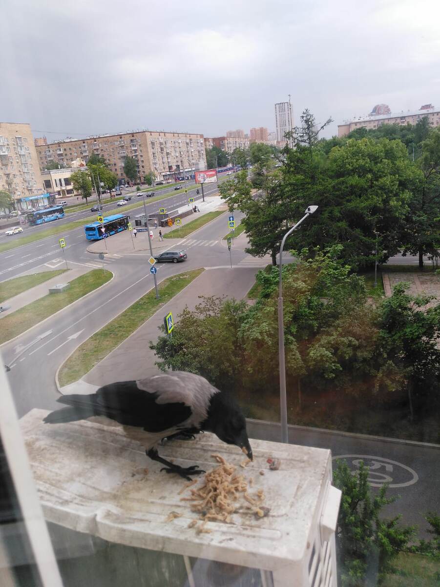 А это- маманя. 