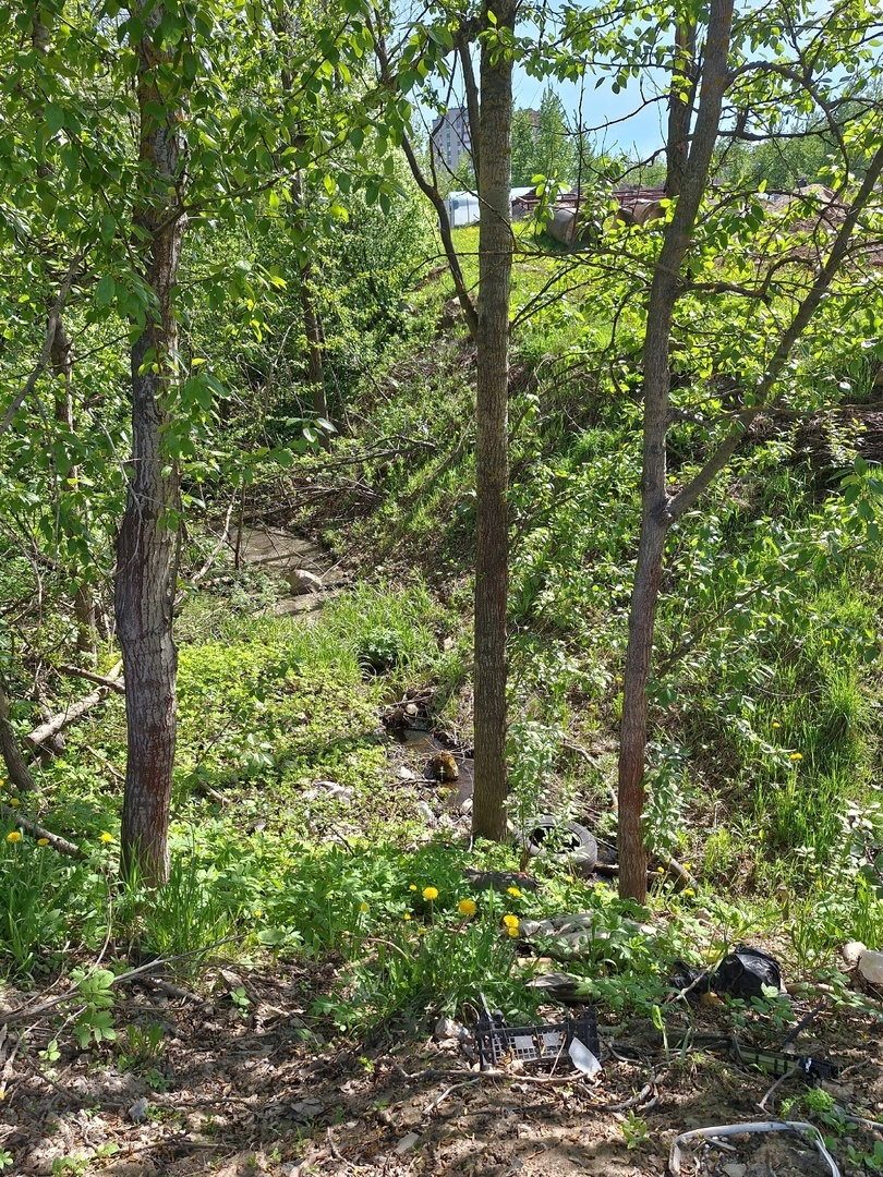 Среди зелени есть ручеек - все, что осталось от Негодяйки. Бежит!