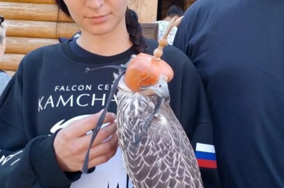    Анонсированы дата и программа III Международного форума «День сокола»