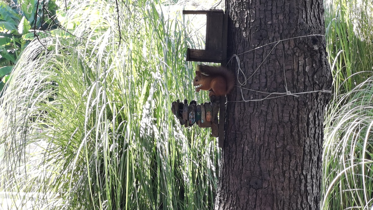 фото из архива автора