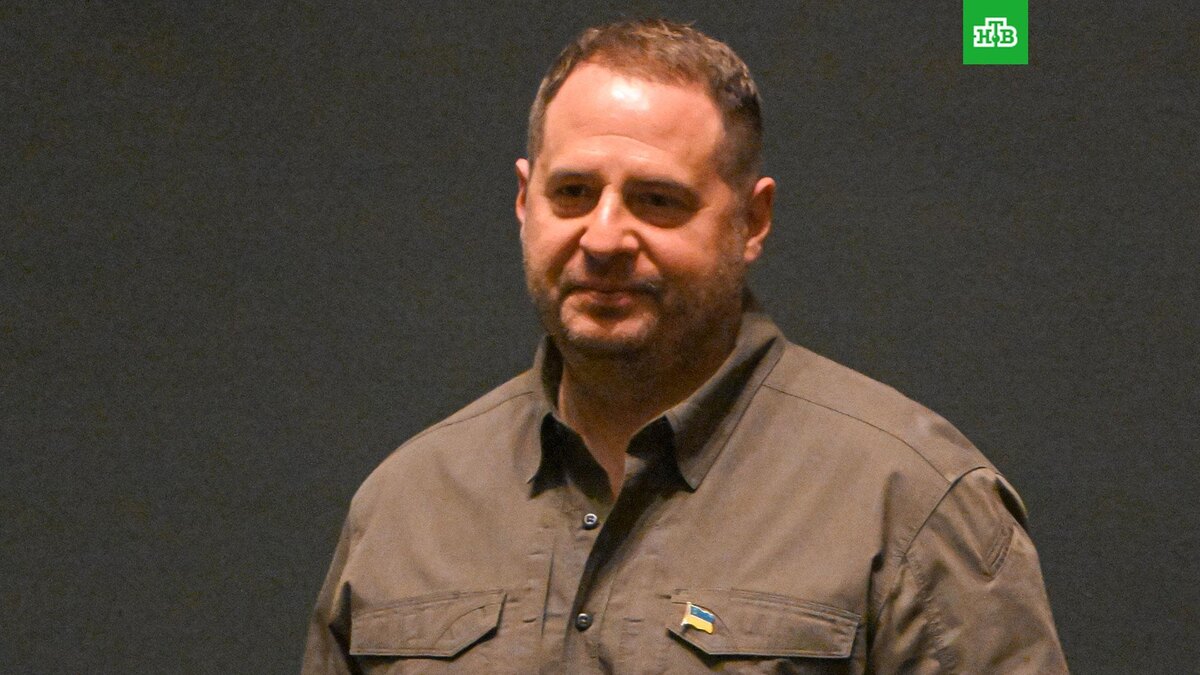    Фото: РИА Новости © 2025, Сергей Гунеев