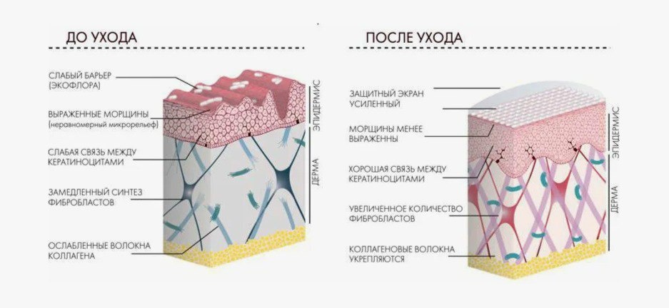 Иллюстрация взята из открытого Интернет-источника