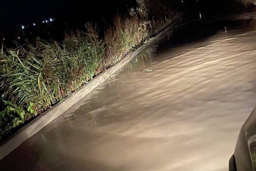 Единственная дорога к дому
Фото: из личного архива