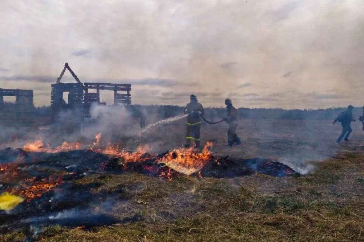    В Тверской области зарегистрировано 9 случаев горения сухой травы