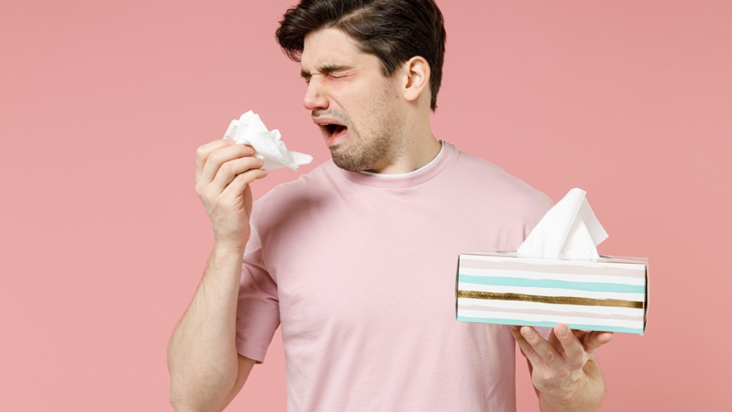    Фото: Коллаж Царьграда