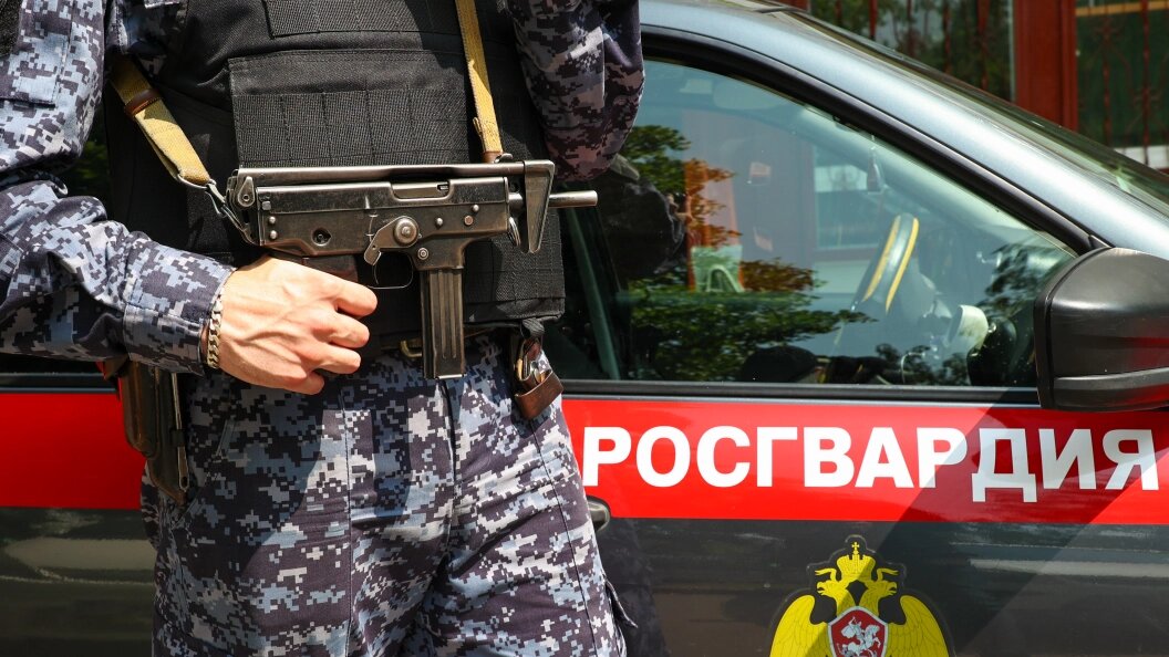    Фото: Сергей Петров/Globallookpress.