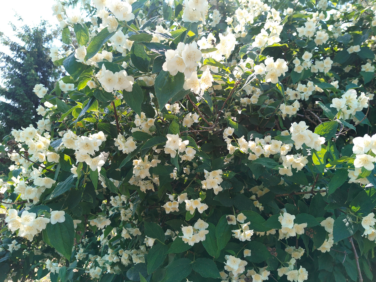 Фото 📷 автора