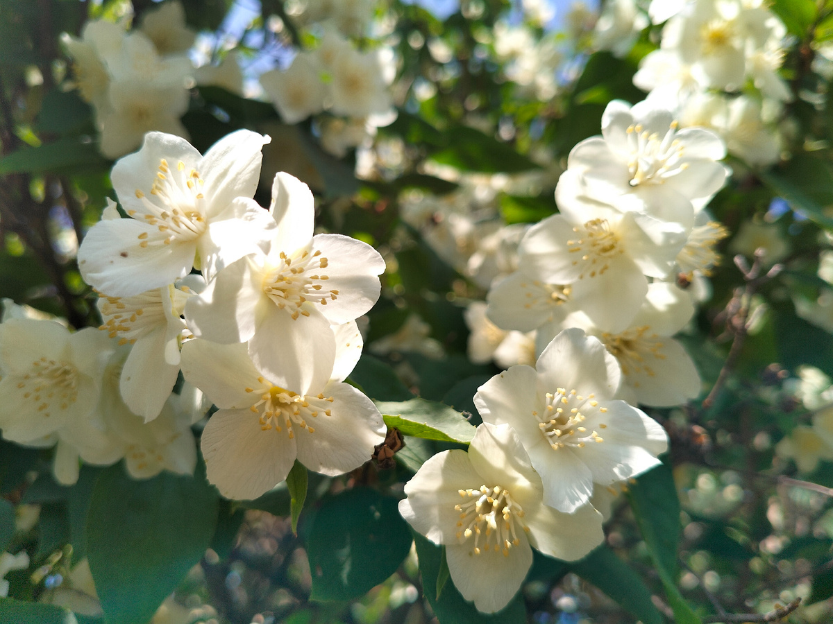 Фото 📷 автора