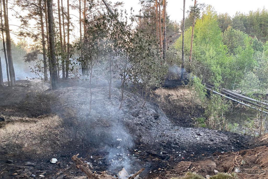    Фото: Александр Аникин © ИА «Уральский меридиан»