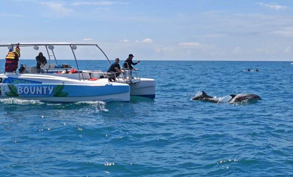    Фото с сайта t.me/BogodistovAA