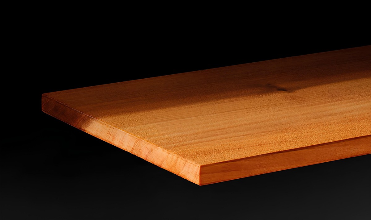 Фото: University of Maryland