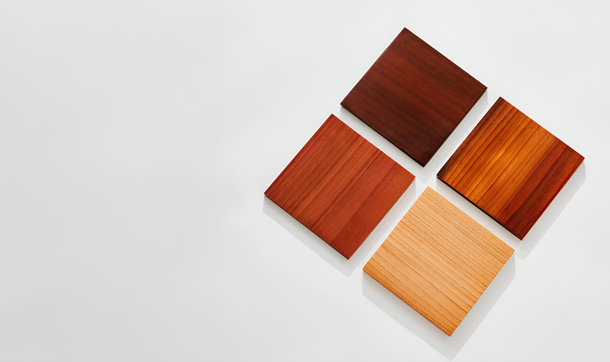 Фото: University of Maryland