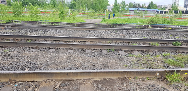    Народную тропу через ж/д пути в Петрозаводске ликвидировалиИрина Меркова