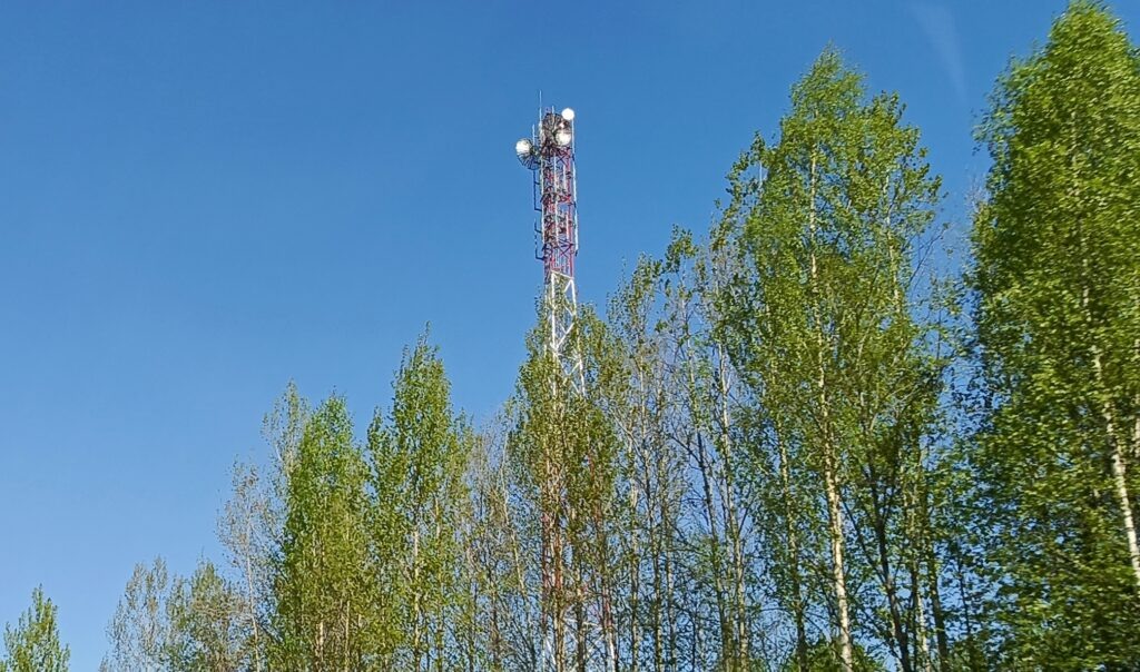    Фото: Ульяна Бажанова Ульяна Бажанова