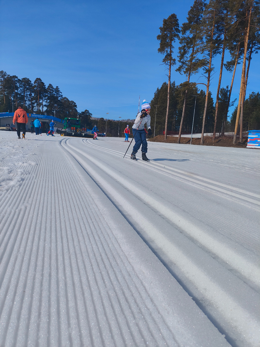 Ратарк SKICAT SC 240 в работе