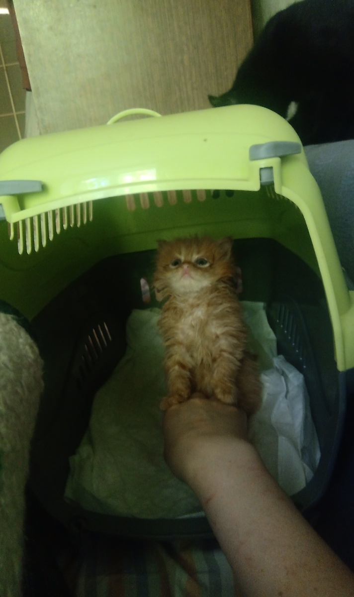 Фото автора 