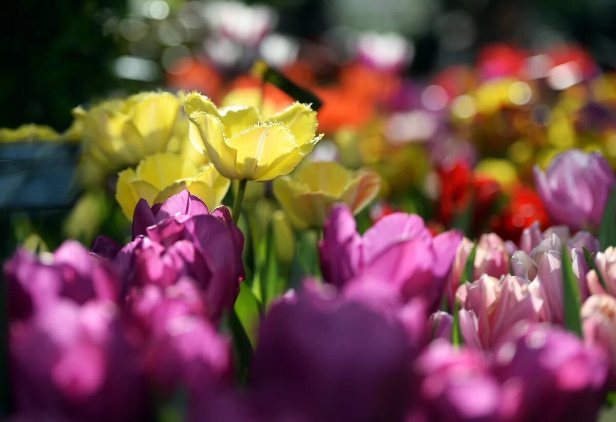 © Sputnik / Максим Блинов