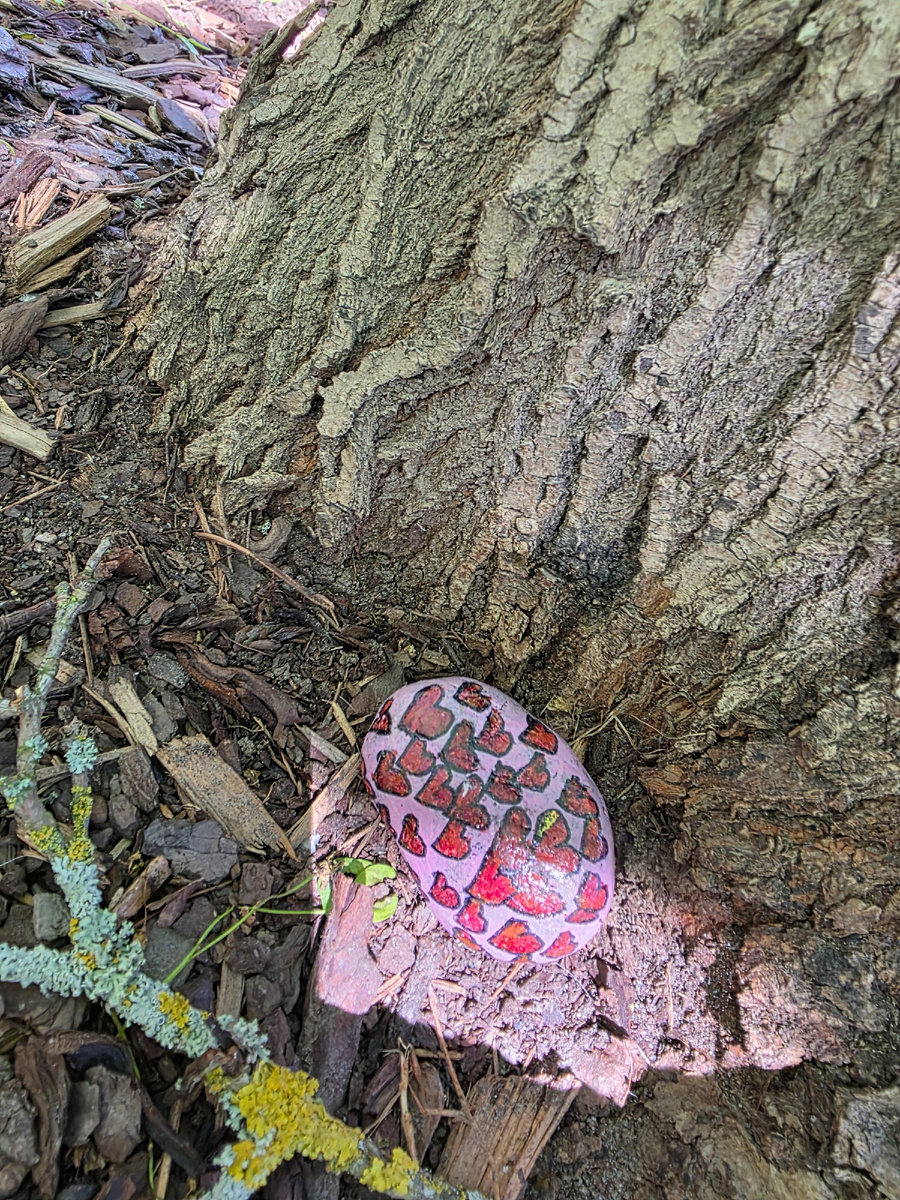 Автор фото я.