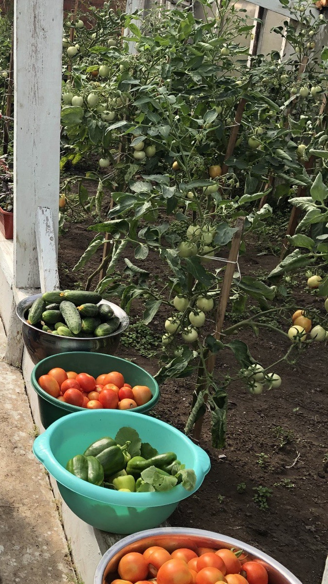 Фото из архивов автора