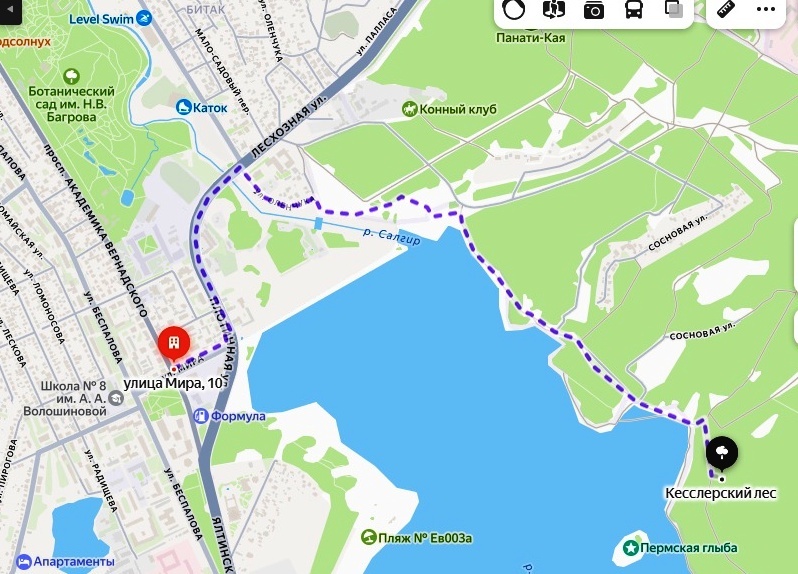 3 июня.Мой маршрут пешком.. почти 4 км. Прошёл по своим заветным рыболовным местам.