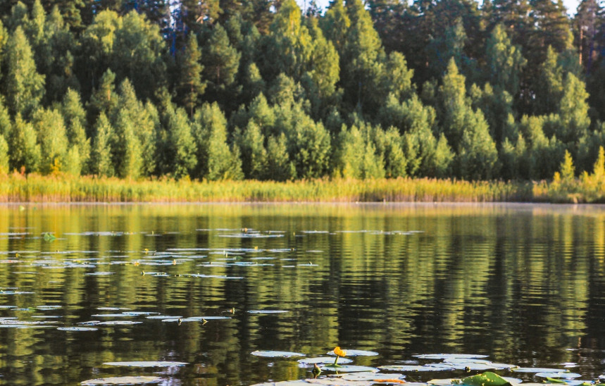 Координаты: 52.901920, 47.159298