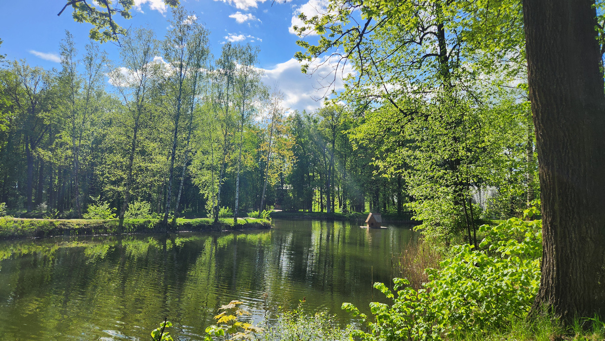 Живописные пруды никого не оставят равнодушными. 