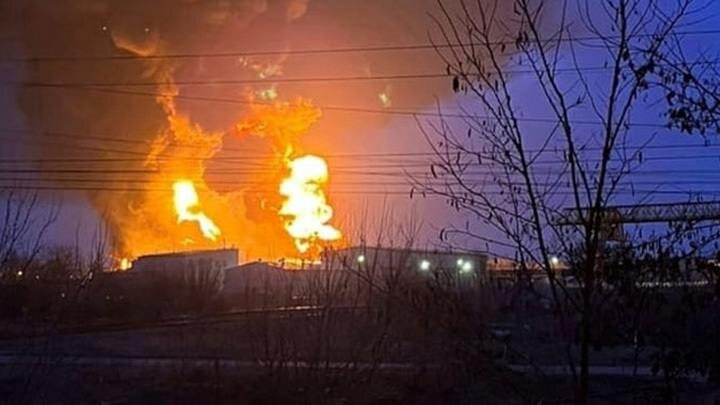 Фото: Vk.com/Belinter/Global Look Press