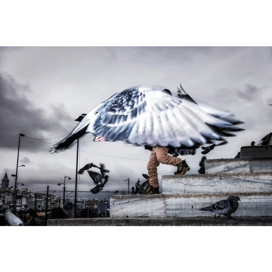 Мурат Харманлыклы