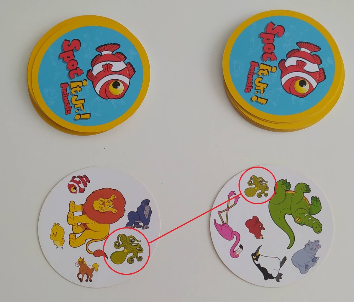 Общая картинка. Осьминог  он же Оctopus 