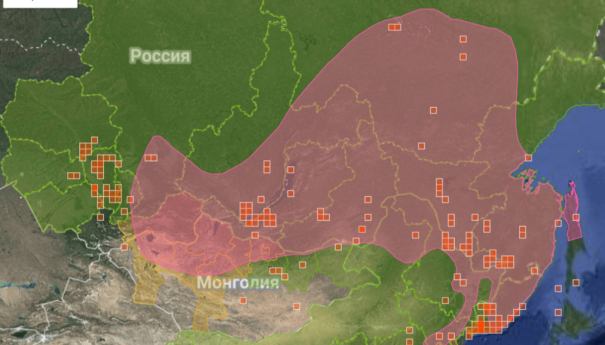 Отметки на Айнатуралисте