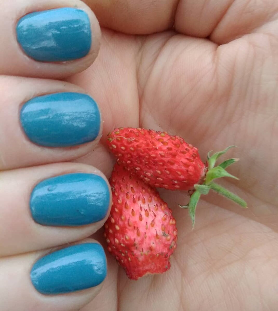 Земляничка первая