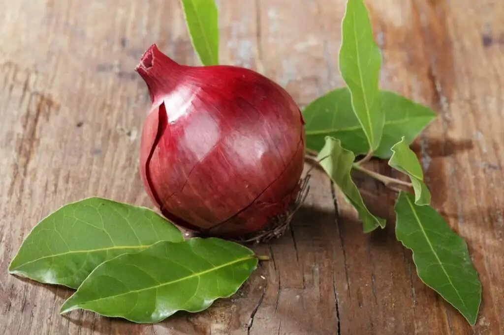 сколько минут варить рыбу