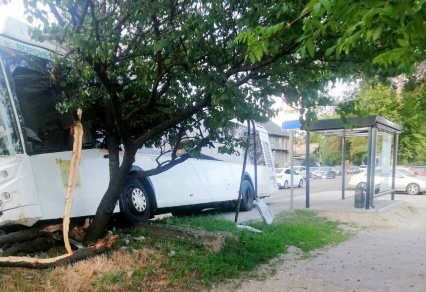    ГУ МВД по Воронежской области.
