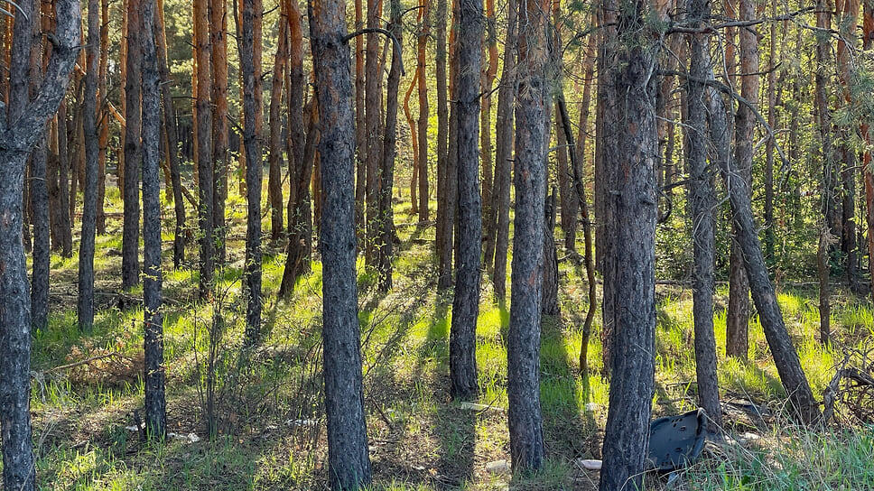 Фото: Игорь Елисеев / Коммерсантъ