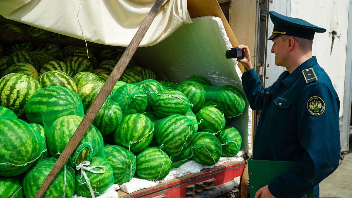     Источник: 1MI