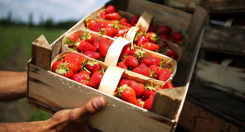    РИА «Новости»