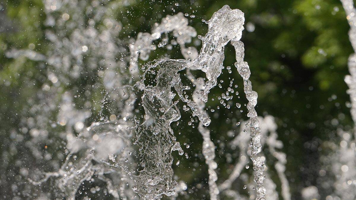    Фото: Анатолий Цымбалюк / Вечерняя Москва