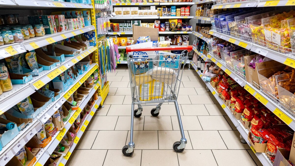    Фото: Андрей Ткачев / «Ямал-Медиа»