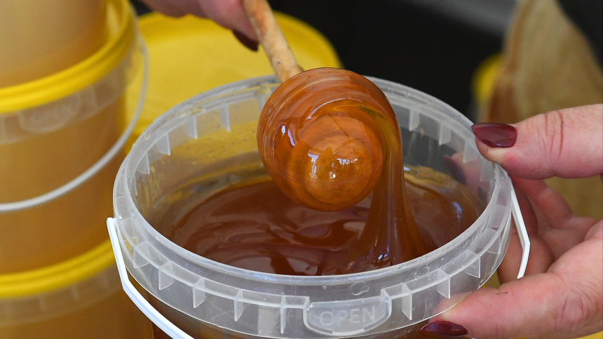    Фото: © РИА Новости/Илья Наймушин; 5-tv.ru