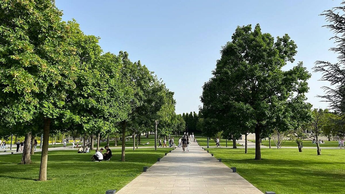    Фото: телеканал «Краснодар»