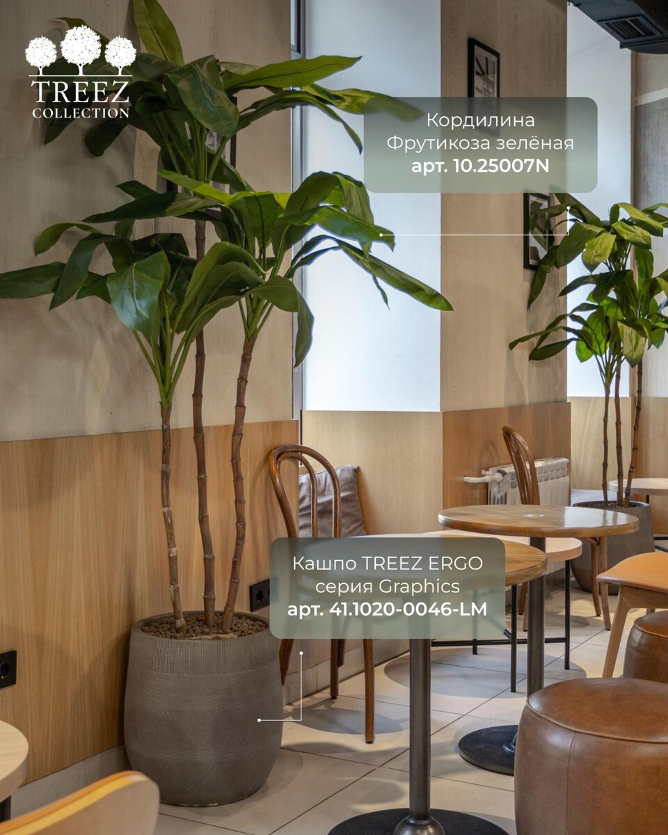 Кашпо и растения Treez Collection